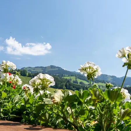 Hotel Kitz Garni Boutique